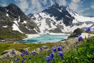 Altai Mountains Mongolia Best Things to Do
