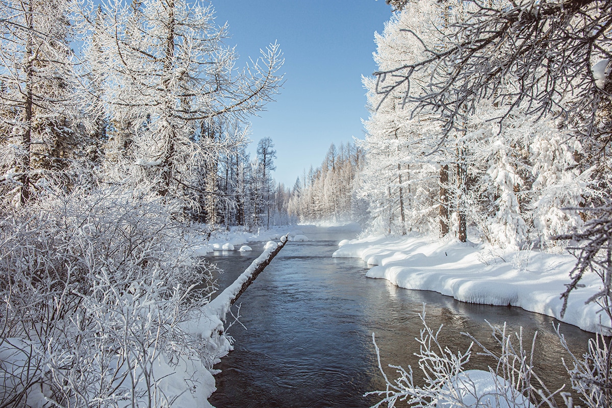 Beautiful Winter Mongolia