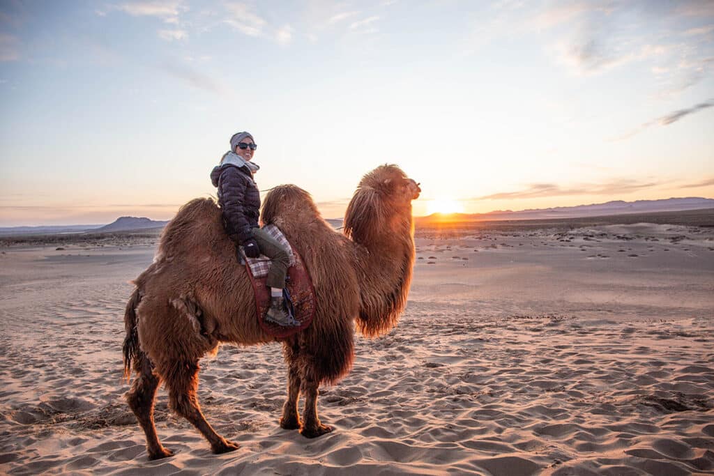 Breanna Wilson Meanwhile in Mongolia