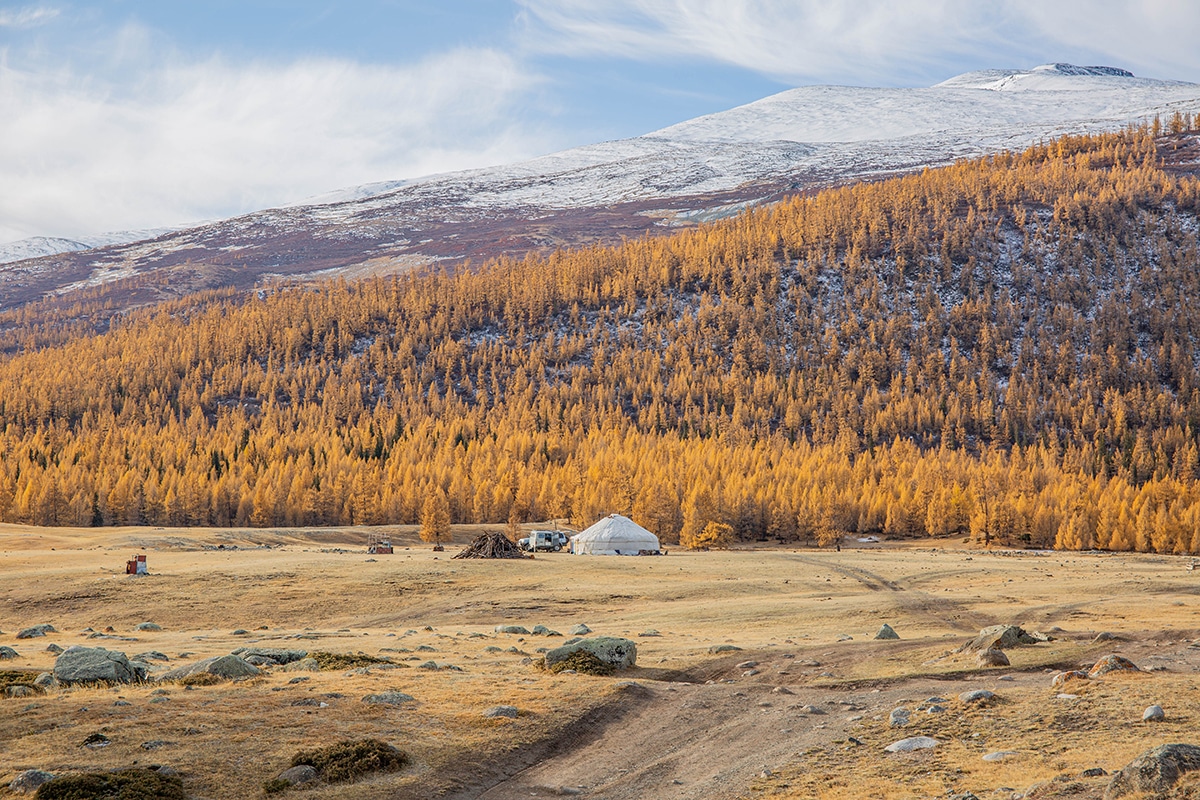 Mongolia Autumn