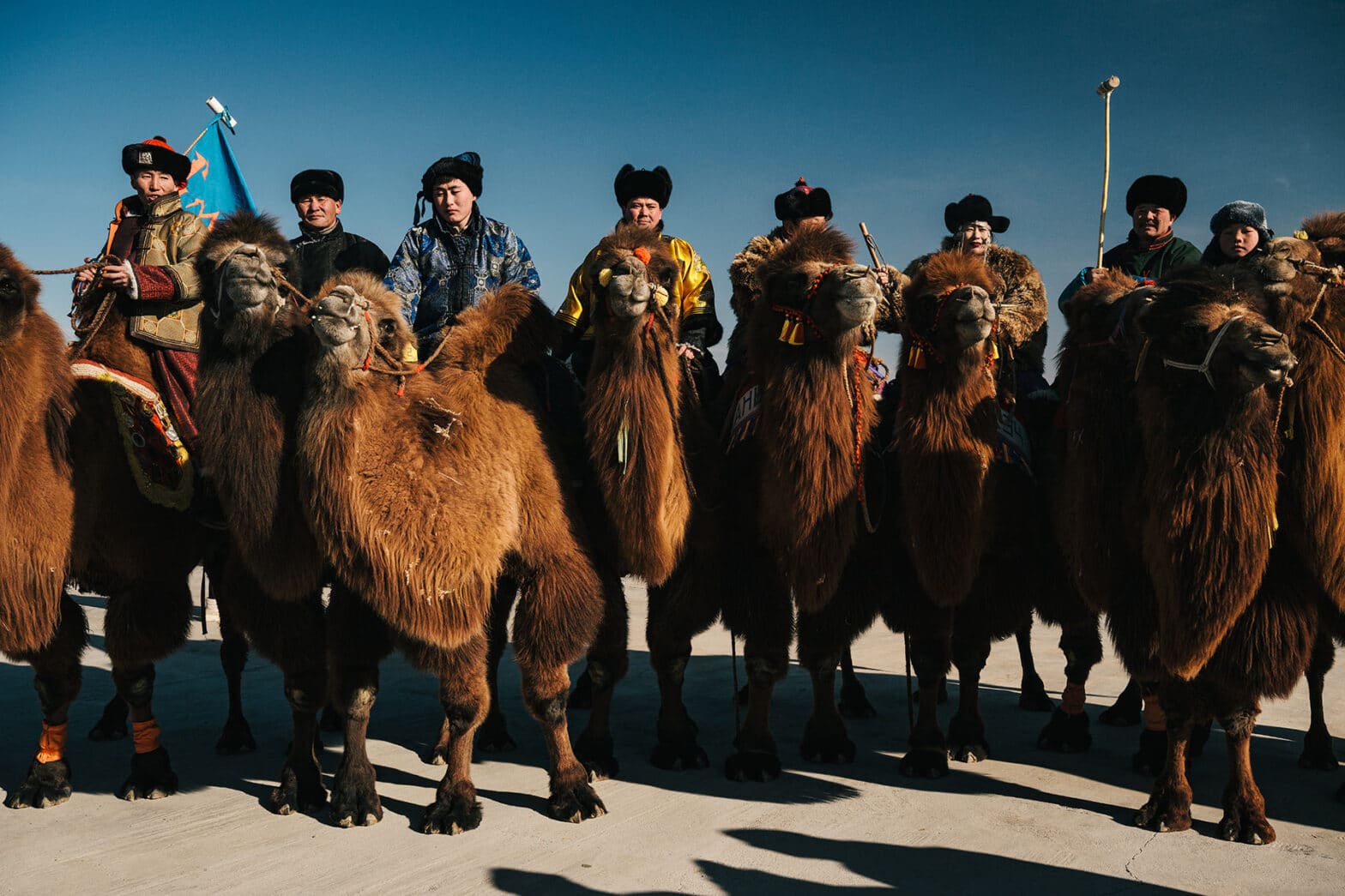 Ten Thousand Camel Festival Mongolia