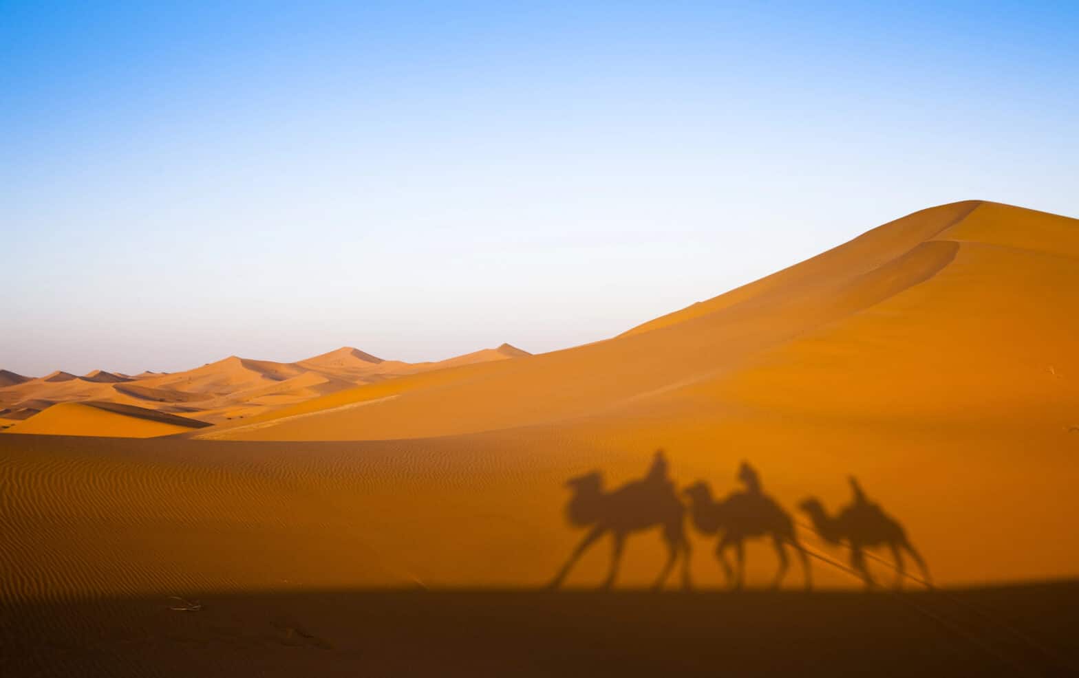 Gobi Desert Best Tour to Book